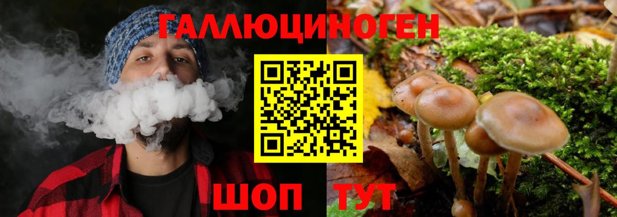 Псилоцибиновые грибы MAGIC MUSHROOMS  Галлюциногенные грибы Psilocybine cubensis  Вход с VPN  Красногорск 